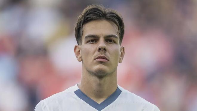 舍夫勒与小 舍夫勒与小