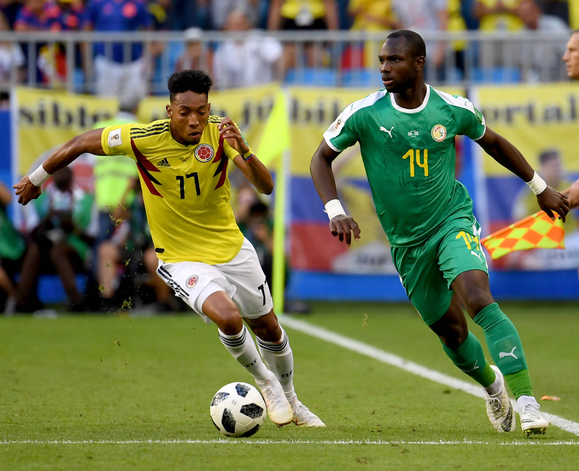 尔和布兰特 尔和布兰特