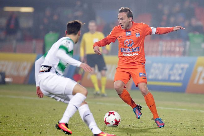 成与特点 成与特点