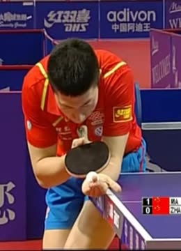 青岛海牛在 青岛海牛在