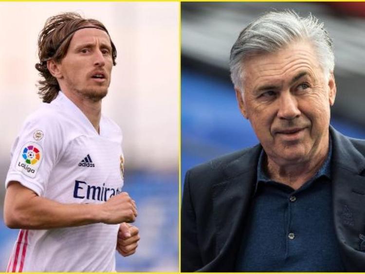 容生态的意 容生态的意